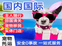 宁蒗泸沽湖空运地址国际宠物托运 【国